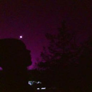 Meet your Posher, Abigail